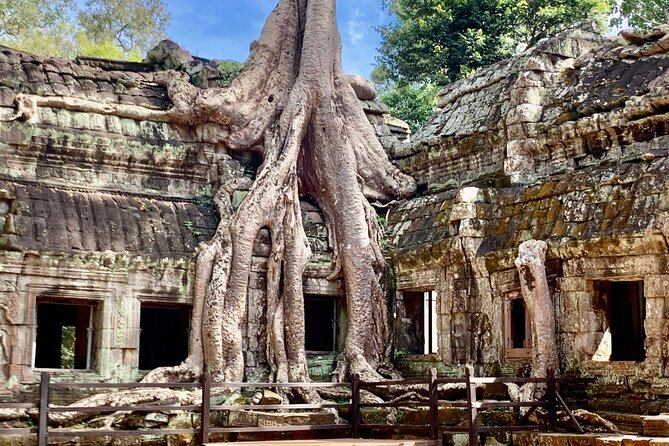 Angkor Wat Small Circuit & Sunset Tour - Sunset at Angkor Thom, a gentler finish than sunrise