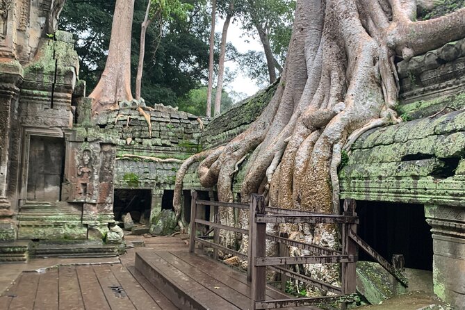 Angkor Wat Small Circuit Tour - Ta Prohm, the tree-wrapped temple