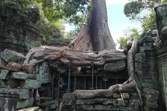 Angkor Wat Small Circuit Tour - Private vehicle, guide, and comfort