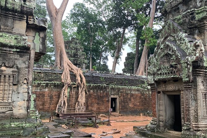 Angkor Wat Small Circuit Tour - What the $47.44 price really covers