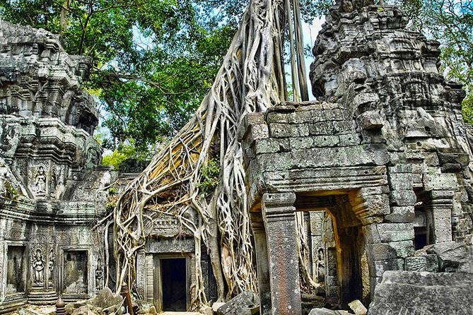 Angkor Wat Small-Group Exploration with Expert Guide - Lunch, timing, and the cost beyond $18