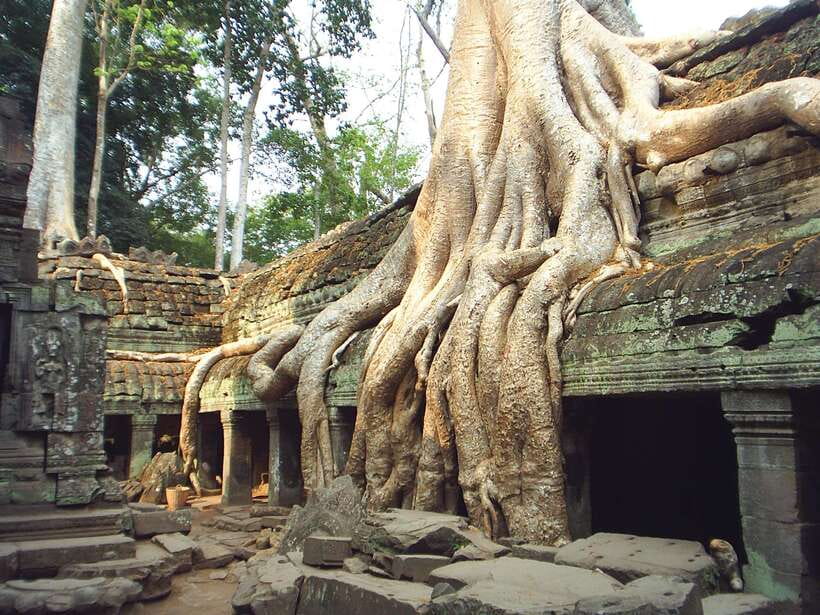 Angkor Wat: Small-Group Tour with Balloon Ride and Lunch - Key points before you book