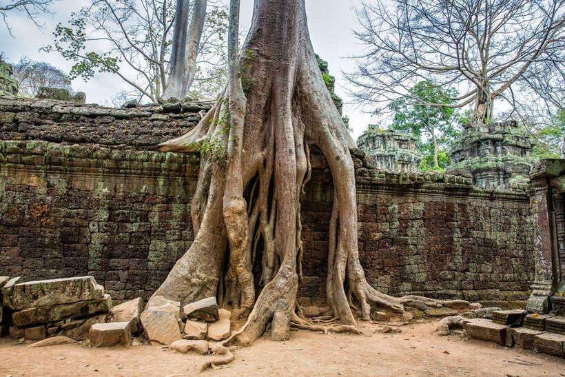 Angkor Wat Small Tour Sunrise With Private Tuk Tuk - What the $24 price really covers