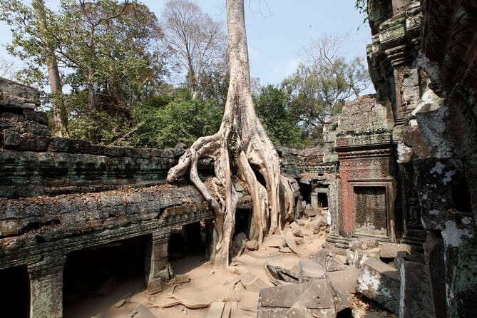 Angkor Wat & Small Tour with Bonteay Srei Temples - What the guide adds to the stone