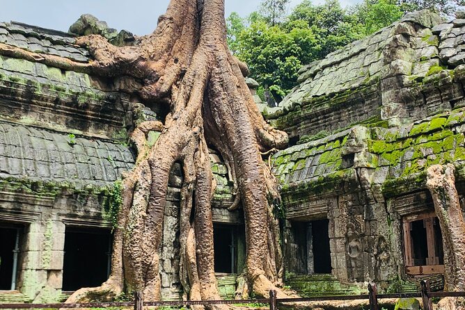 Angkor Wat Sunrise and Angkor Thom Sunset Tour - Angkor Thom in the afternoon