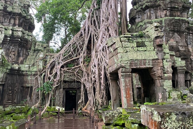 Angkor Wat Sunrise and Angkor Thom Sunset Tour - Guides, drivers, and the private format