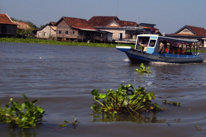Angkor Wat Sunrise and Tonle Sap Cruise Sunset Tour - Ta Prohm and the roots that made it famous