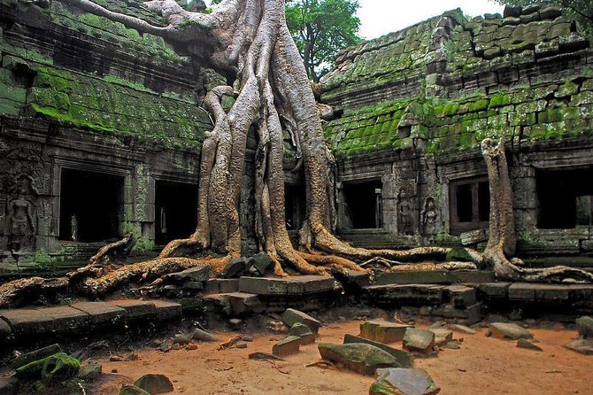 Angkor Wat Sunrise and Tonle Sap Lake 1.5 Days - The Terraces and the long central day