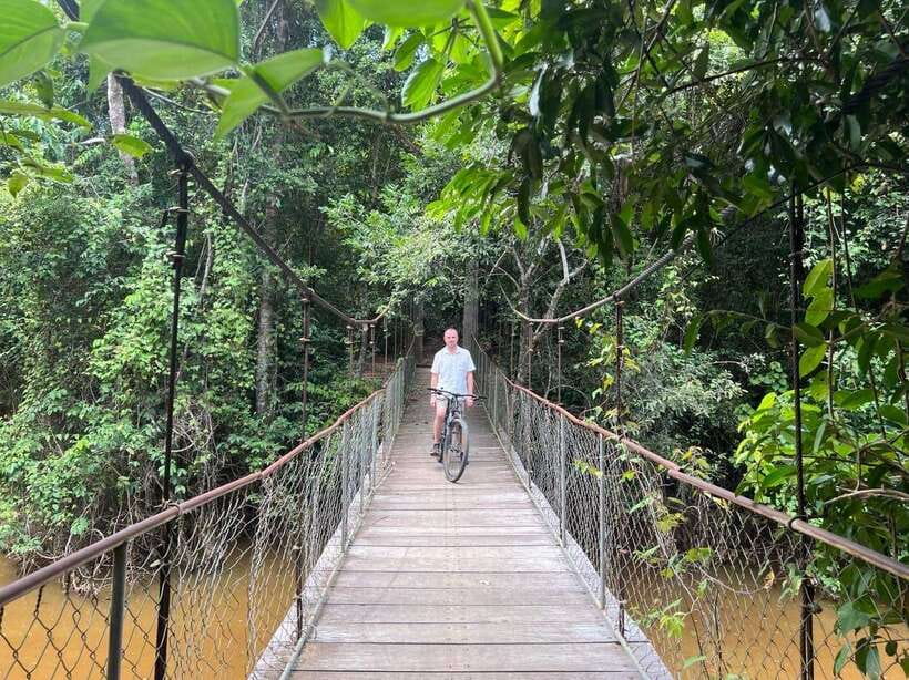 Angkor Wat Sunrise Bike Tour With Lunch Included - Ta Prohm and the famous tree roots