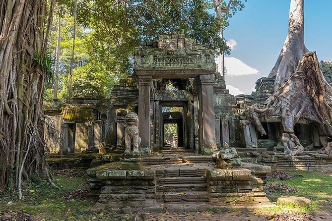 Angkor Wat Sunrise: Exclusive Private Tour! - Is $60 good value?
