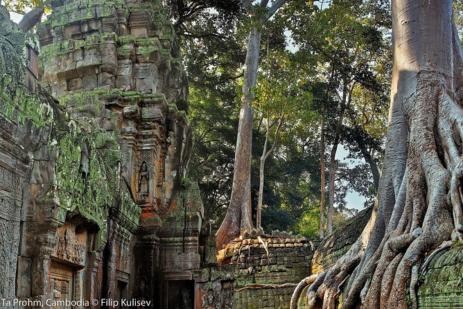 Angkor Wat Sunrise or Sunset Tour with Guide from Siem Reap - Ta Prohm: the jungle temple with a different mood