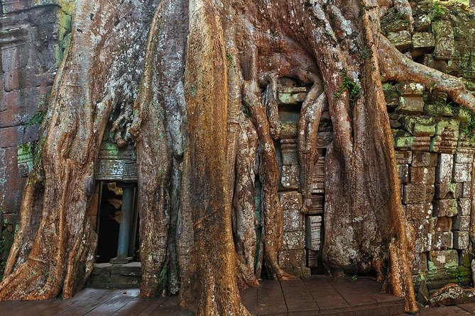 Angkor Wat Sunrise or Sunset Tour with Guide from Siem Reap - What the $18 price really covers