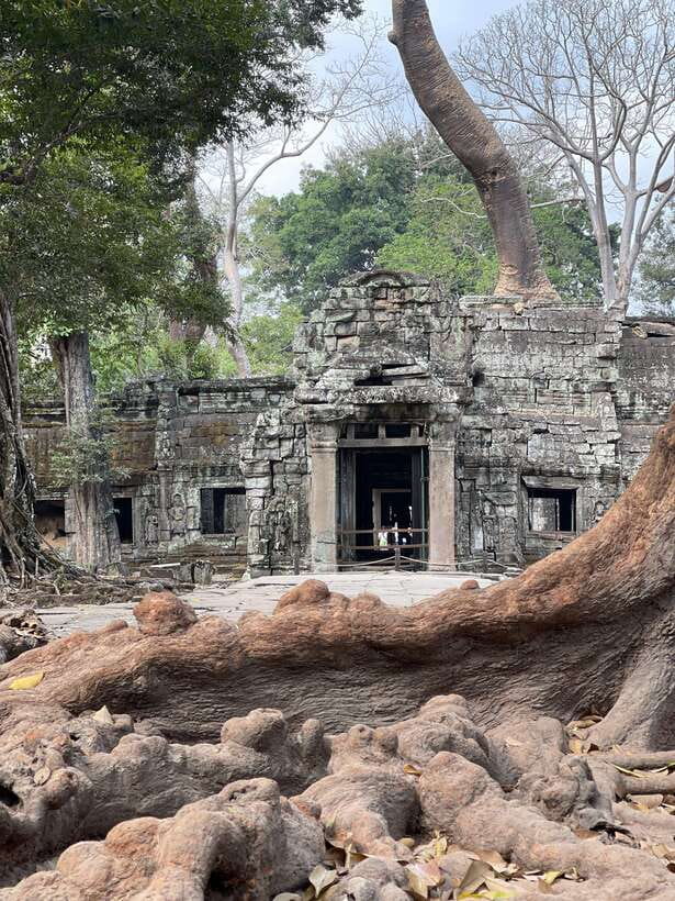 Angkor Wat Sunrise Private Full Day Tour - Price, inclusions, and the real value