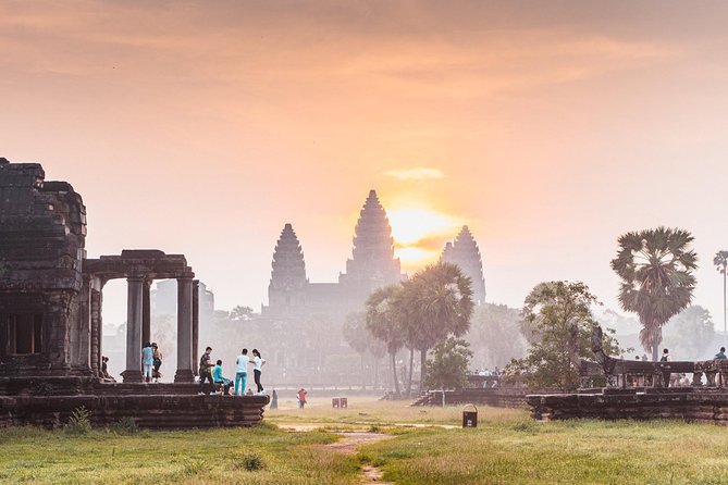 Angkor Wat Sunrise Private Tour by Tuk Tuk - Ta Prohm, where trees meet stone