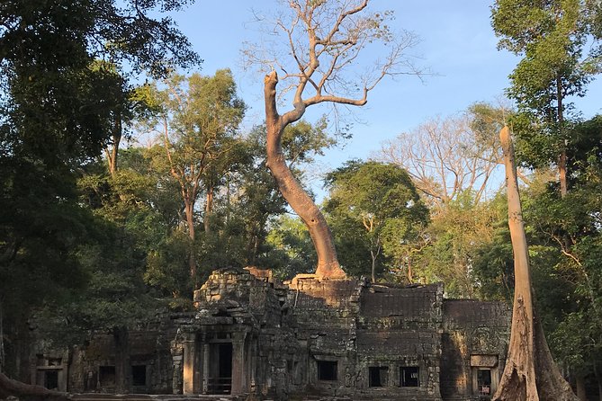 Angkor Wat Sunrise Private Tour by Vintage Jeep - Why the 4:40 am start is worth considering