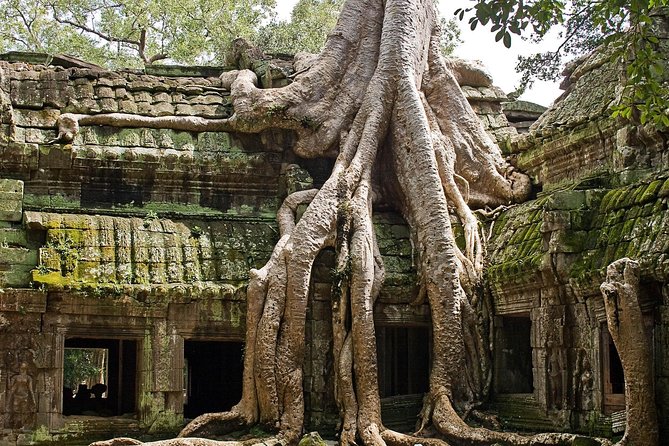 Angkor Wat Sunrise & Small Circuit Tour - Angkor Wat gives the morning its focus