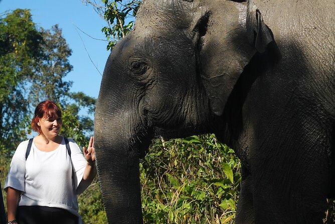 Angkor Wat Temples & Kulen Elephant Forest Day Tour - Key points to know before booking