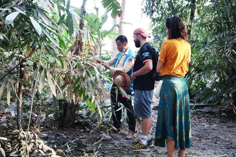 Angkor Wat: Tuk Tuk and Walking Tour - Key points at a glance