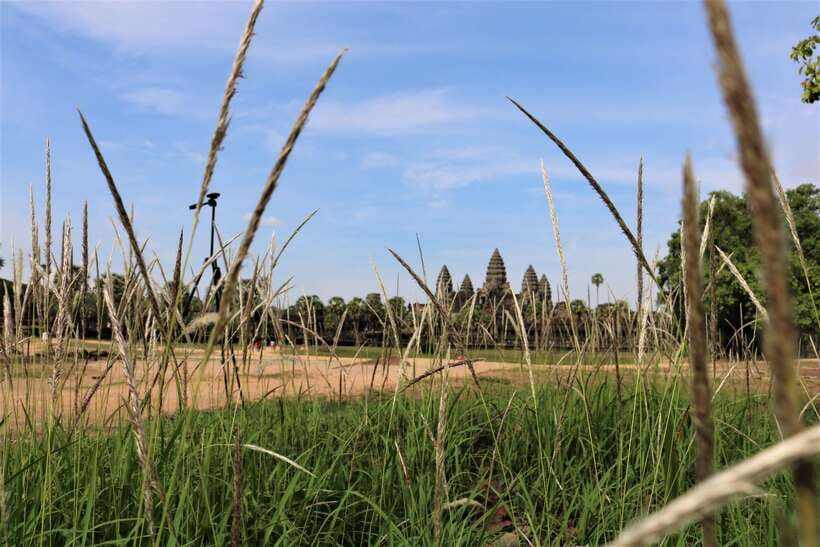 Angkor Wat: Tuk Tuk and Walking Tour - What the guiding adds to the ruins