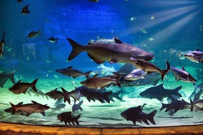 Angkor Wildlife & Aquarium Halfday tour - Is $29 a fair price?