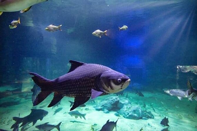 Angkor Wildlife & Aquarium Halfday tour - Who will enjoy this most