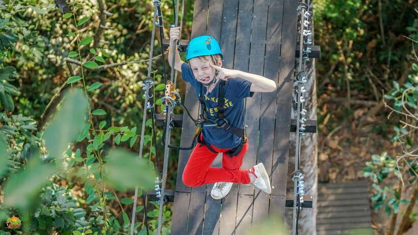 Angkor Zipline Eco-Adventure Canopy Tour - Why the Angkor rainforest setting matters