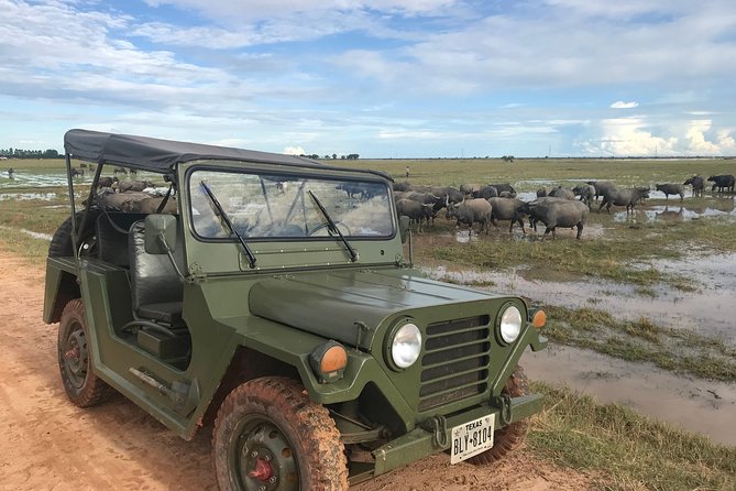 Authentic Cambodian Countryside Jeep Experience - Duck fields and rural family livelihoods