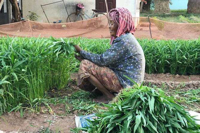 Authentic Cambodian Countryside Jeep Experience - The morning alternative: bamboo sticky rice and noodles