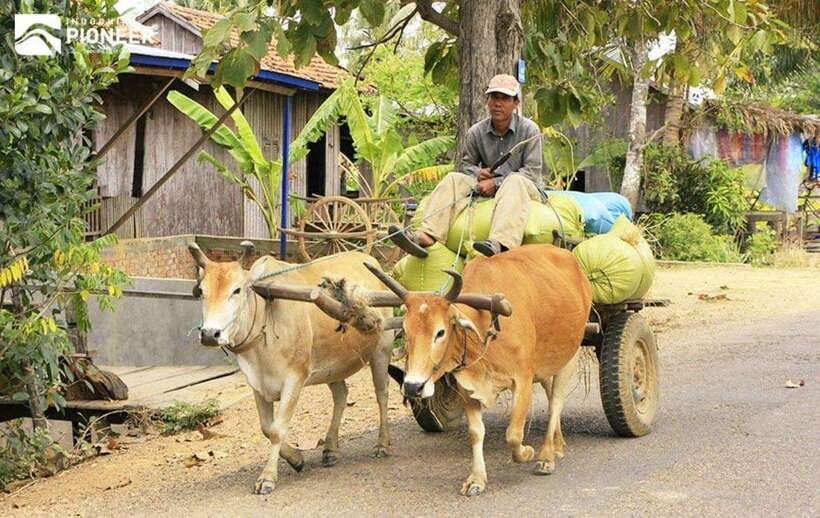 Back to Basics: Siem Reap Village Tour in Cambodia - A school stop with a useful purpose