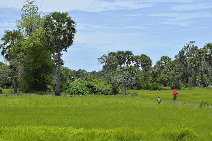 Back to Basics: Village Life Tour from Siem Reap - Leaving Siem Reap for village Cambodia