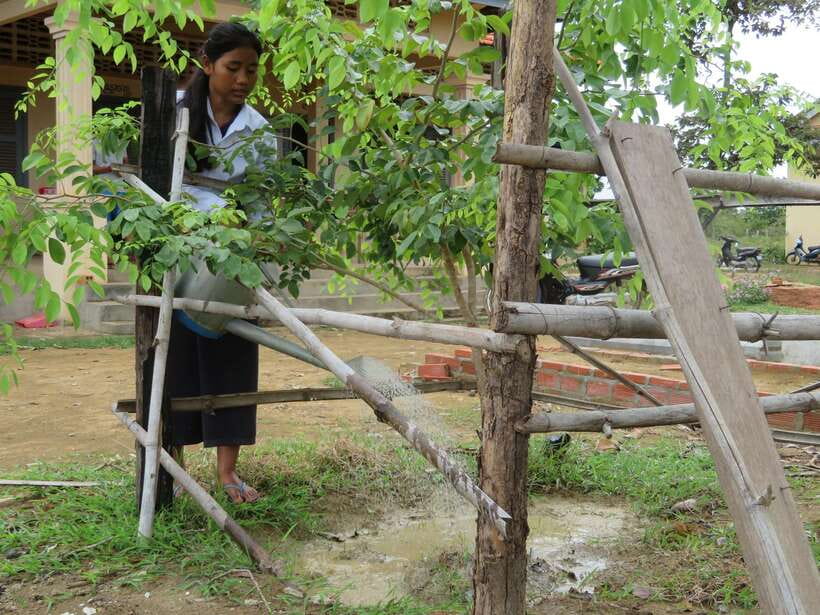 Back to Basics: Village Life Tour from Siem Reap - Homes, crafts, and the work behind simple goods