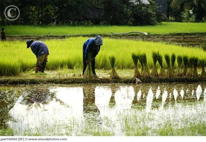 Back to Basics: Village Life Tour from Siem Reap - What the four-hour length means