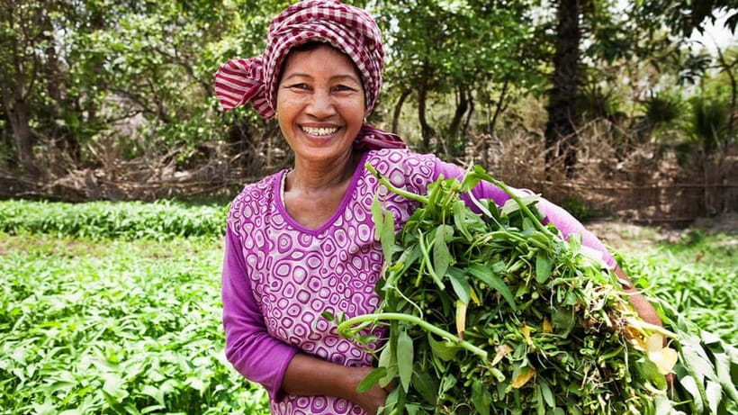 Back to Basics: Village Life Tour from Siem Reap - Markets where daily life is the main attraction