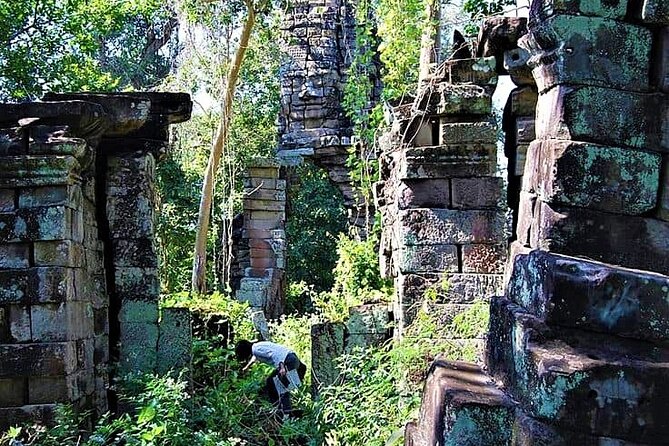 Banteay Chhmar Temple & Silk Farm Private Day Trip from Siem Reap - A working silk farm, from mulberry trees to woven cloth