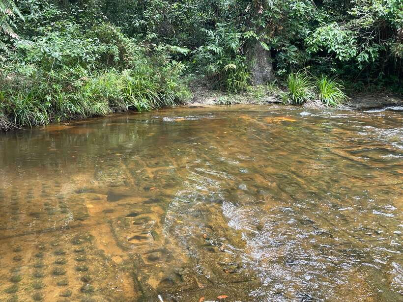 Banteay Srei, Kulen Waterfall & Beng Mealea Small-Group Tour - The 1000 Lingas River, where water carries the carvings