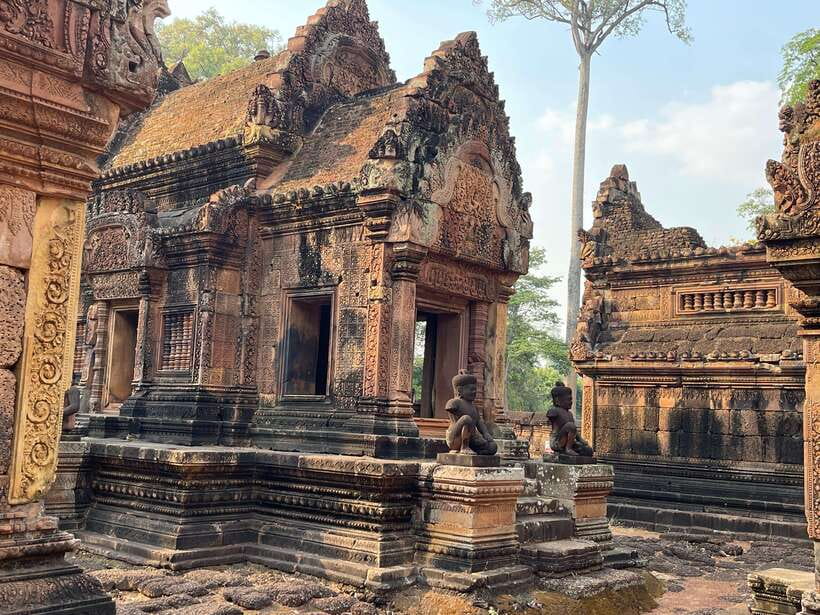 Banteay Srei, Kulen Waterfall & Beng Mealea Small-Group Tour - Beng Mealea, a temple left to the jungle