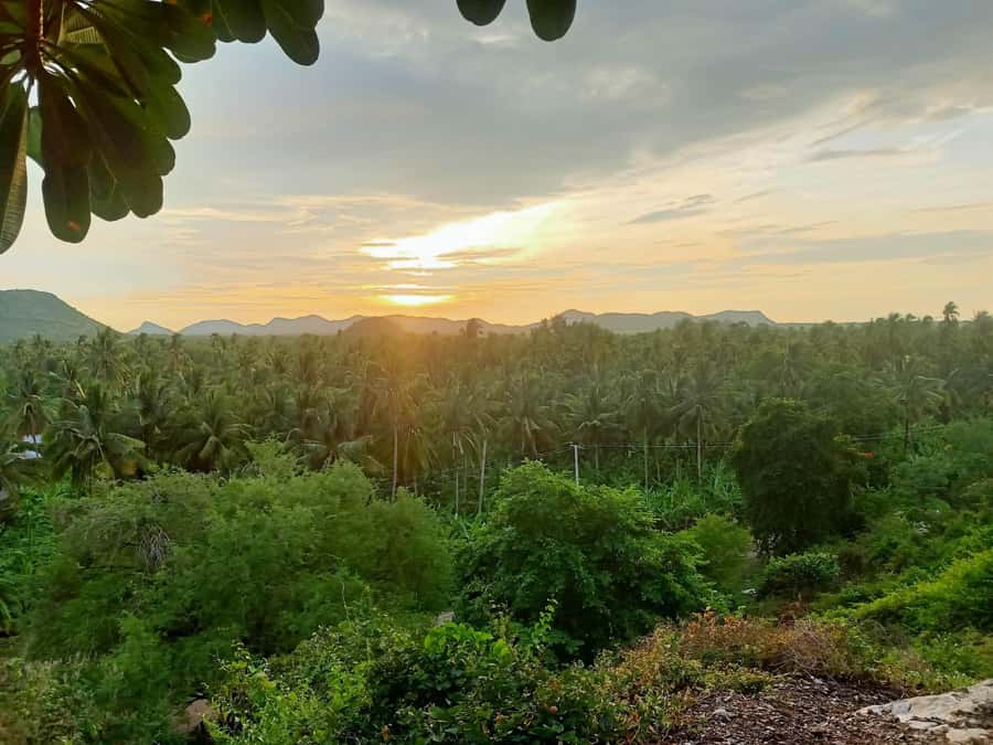 Battambang Full Day Tour from Siem Reap - Who will enjoy this day most