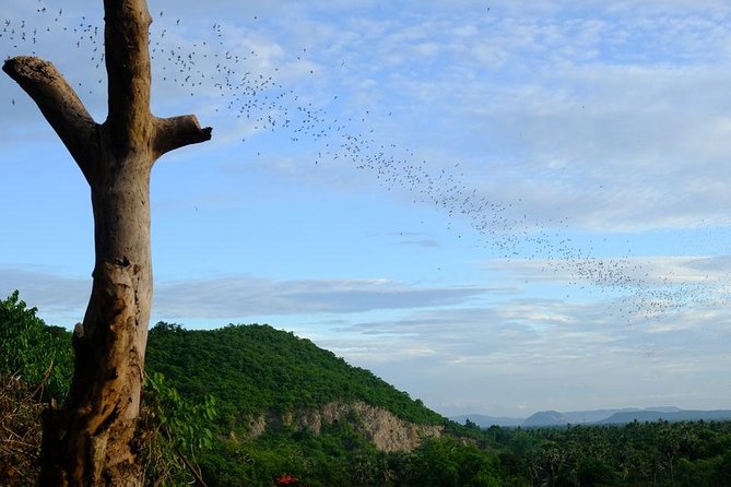Battambang Full Day Tour from Siem Reap - Bamboo Train, Killing Cave & Sunset - Guides make the difference