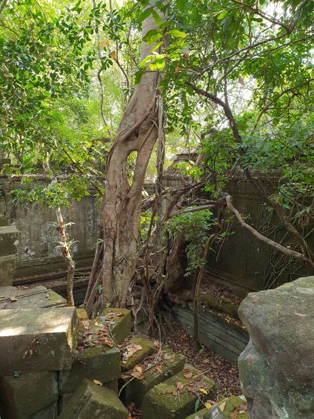 Beng Mealea, Koh Ker & Floating village Day Tour - The $65 price and the real cost of the day