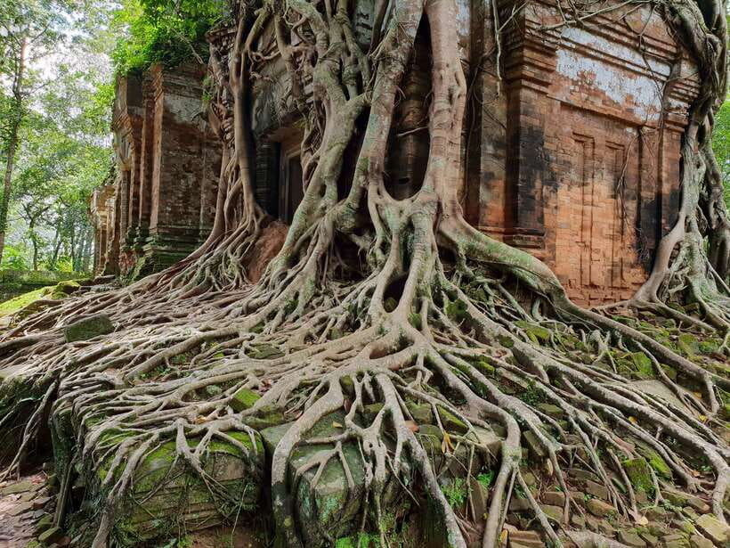 Beng Mealea, Koh Ker & Floating village Day Tour - Pickup, packing, and physical demands