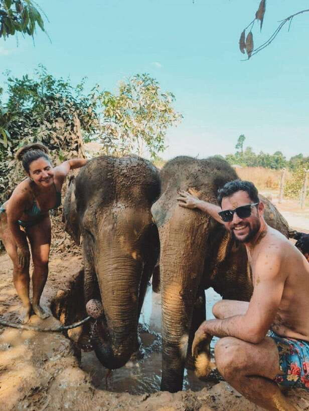 Cambodia Elephant Sanctuary and Banteay Srey Temple Tour - Key points to know before you book