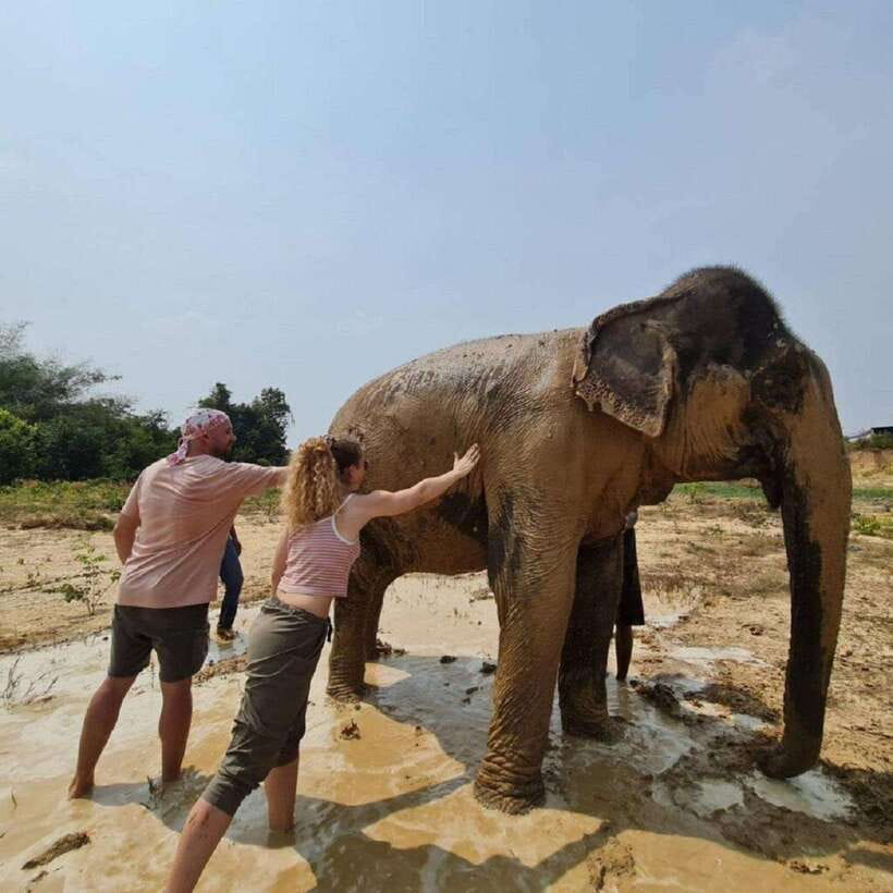 Cambodia Elephant Sanctuary and Banteay Srey Temple Tour - Should you book the Cambodia Elephant Sanctuary and Banteay Srey Tour?