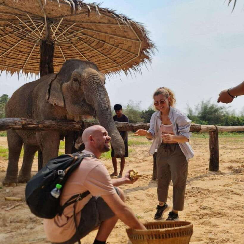 Cambodia Elephant Sanctuary and Banteay Srey Temple Tour - What the elephant encounter is really like
