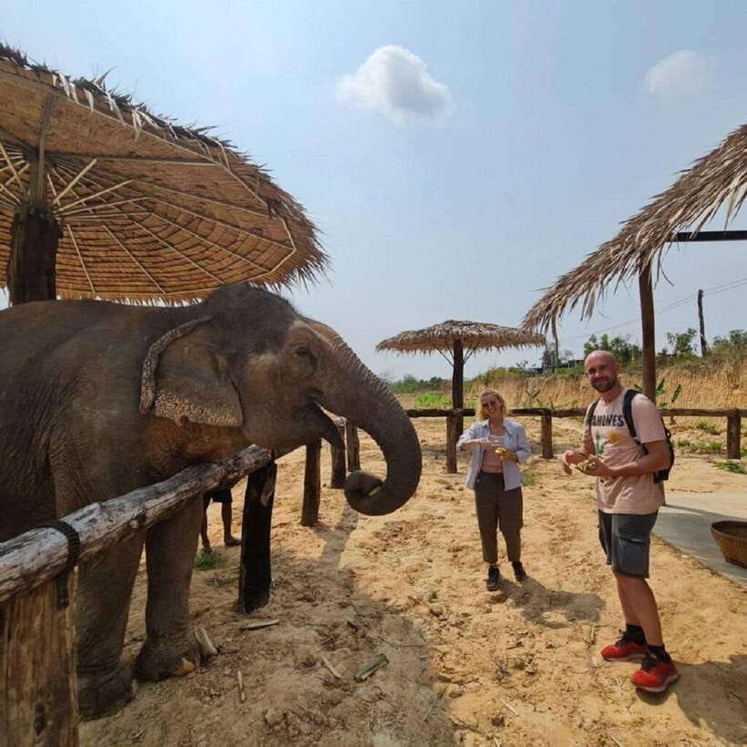 Cambodia Elephant Sanctuary and Banteay Srey Temple Tour - Banteay Srei and the Citadel of Women