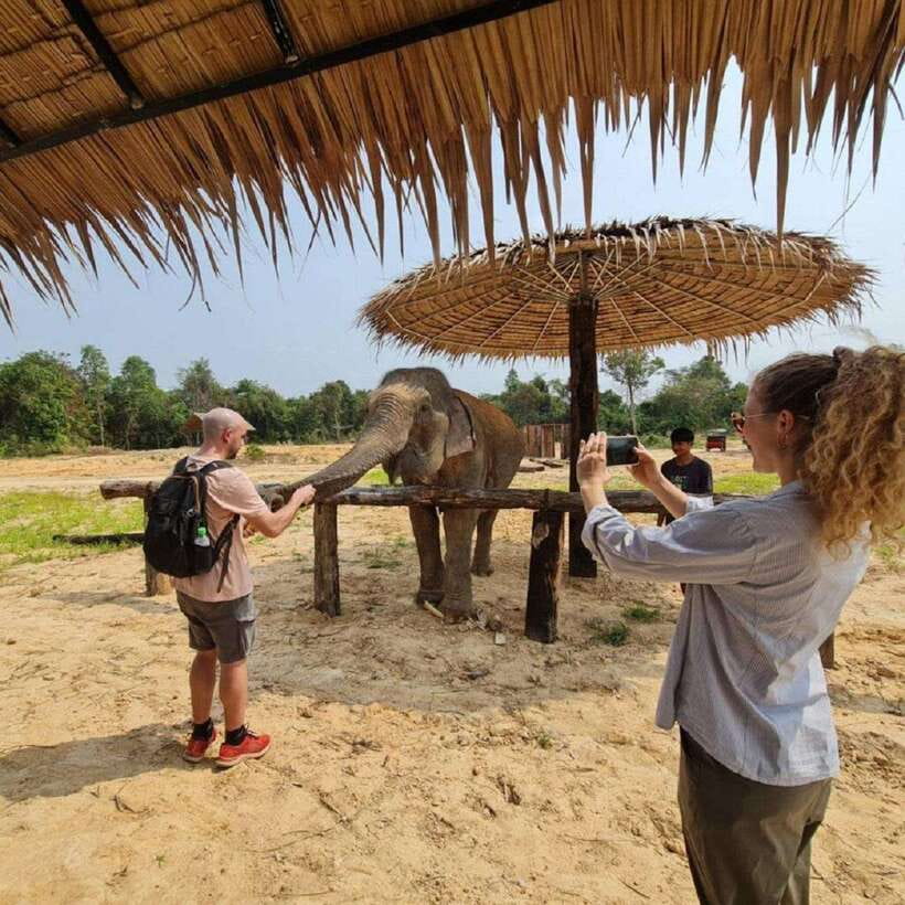 Cambodia Elephant Sanctuary and Banteay Srey Temple Tour - Hiking to Kbal Spean’s 1000 Lingas
