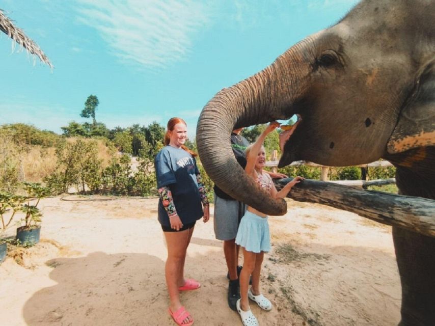 Cambodia Elephant Sanctuary and Banteay Srey Temple Tour - The $71 price and what it covers
