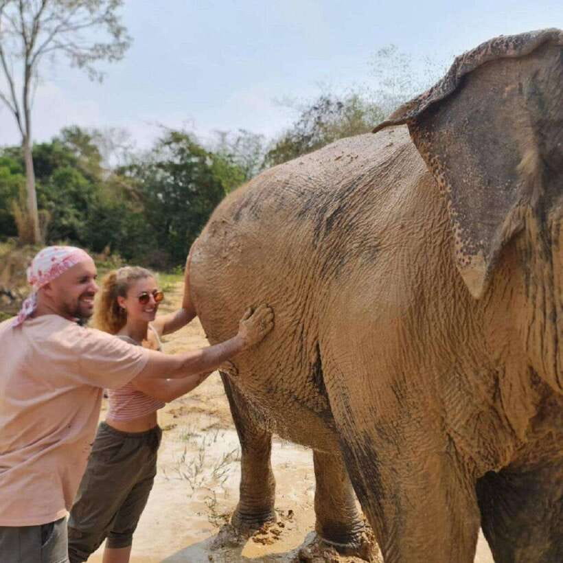 Cambodia Elephant Sanctuary and Banteay Srey Temple Tour - Who should book this experience