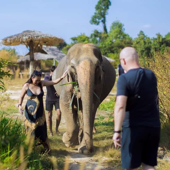 Cambodia Elephants Haft Day Experiences from Siem Reap - Should you book this elephant experience?