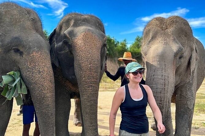 Cambodia Elephants Haft Day Experiences from Siem Reap - What this Siem Reap elephant visit is really like