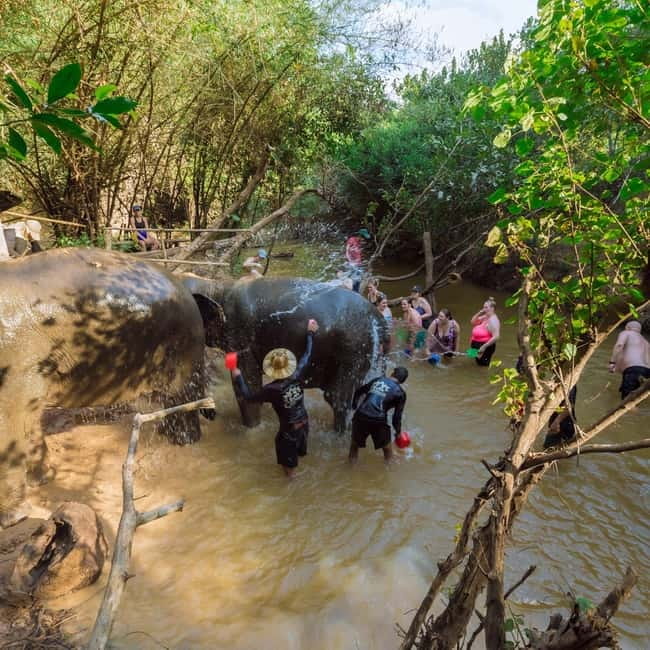 Cambodia Elephants Haft Day Experiences from Siem Reap - Practical advice for a smoother morning
